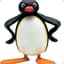 Pingu!