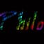Philo