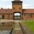 auschwitz