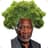 Morgan Treeman