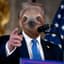 Trump_Sloth