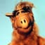ALF