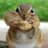 Chipmonk