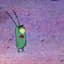 Plankton