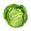 SaltyCabbage