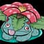 IntraVenusaur