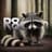 r8ccoon