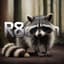 r8ccoon