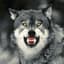 Wolf 2