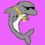 lil' dolphin mc