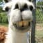 llamuh