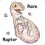 RareRaptor