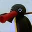 Noot Noot
