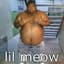 lil meow
