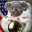 Space Koala