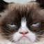 GrumpyKat