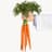carrottop