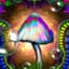 Magic Shroom