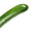 CUMCUMBER