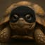DisguisedTortoise