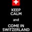 The Government of Switzerland