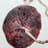 Placenta Pattie