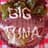 Mr-Big Tuna