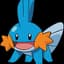 Mudkip