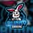 bunny_gaming