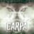 CARPA391(ESP)