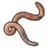 Worm