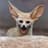 Fennec