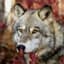 The Wolf