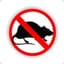 I hate rats