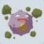 Koffing!