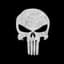 ThePunisher