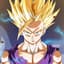 -.GOHAN.-