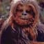 ChewbaccaFrancis