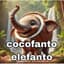 cocofanto elefanto