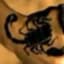 Scorpion83