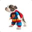 Superhund