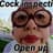 cock inspector