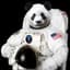 AstroPanda