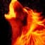 Lobo Fuego