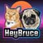 HeyBruce