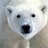 PolarBear