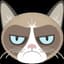SirGrumpyCat