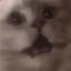 ScreamingCatz