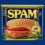 SPAM