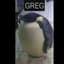 Greg
